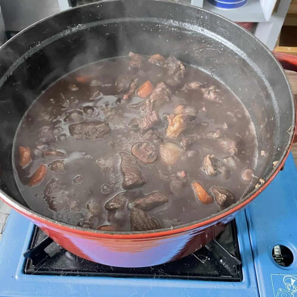 Cocotte en Fonte - Idéale pour Cuire un Bœuf Bourguignon Mijoté Marmite norvégienne écologique, laine de mouton pour conservation de chaleur